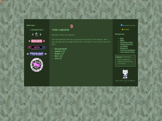 timecapsule screenshot