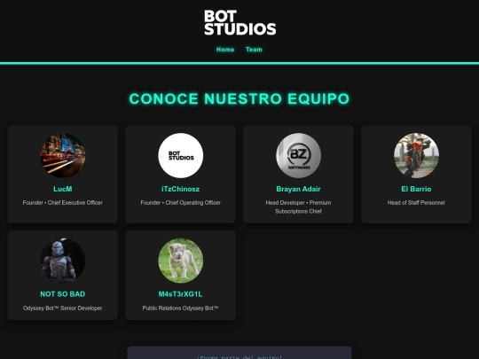 company/team screenshot
