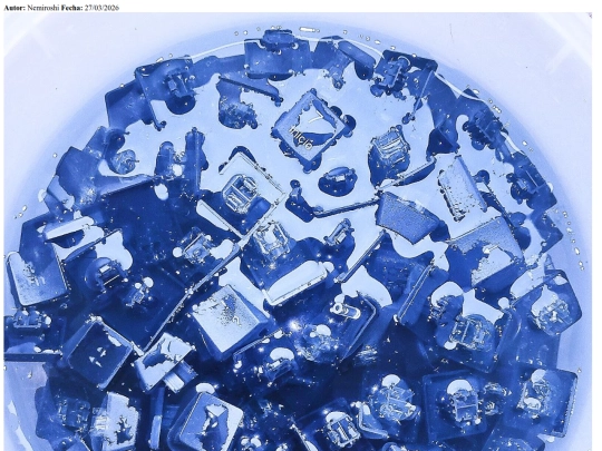 archive/sopa_letras screenshot