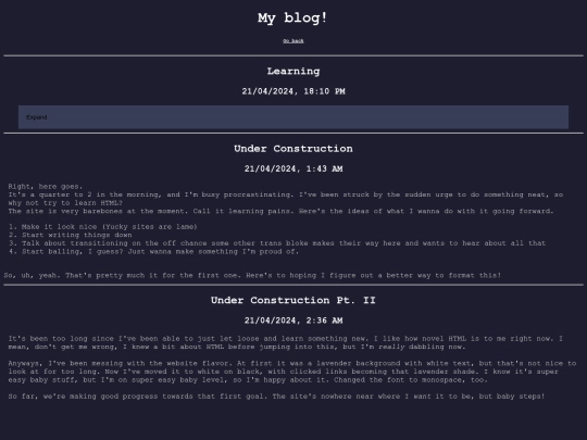 blog screenshot