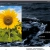 The web site of s10543080 avatar