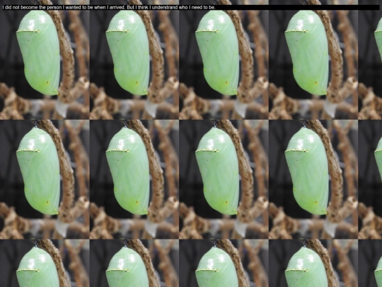 exit screenshot