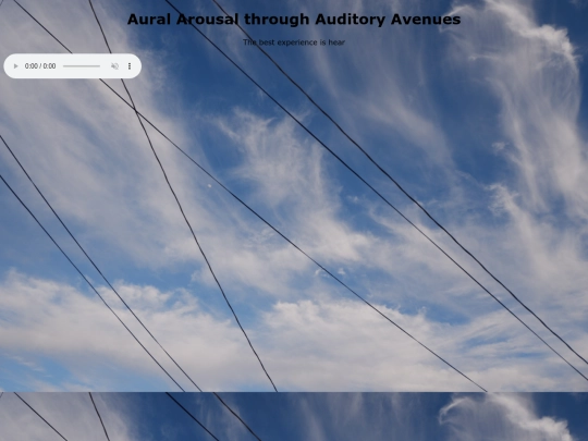 AudioPage screenshot