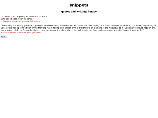 snippets screenshot