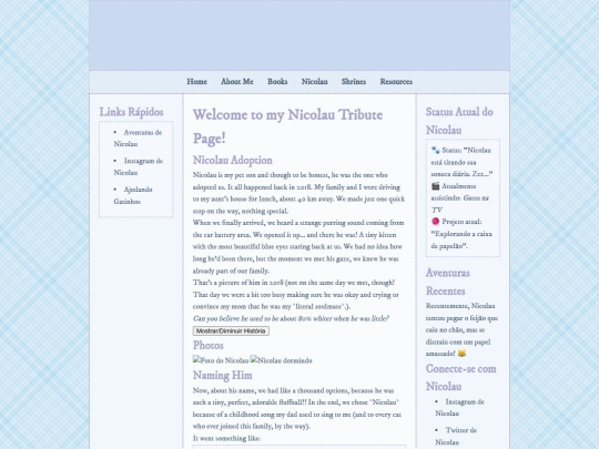 NicolauPage/NICTEST screenshot