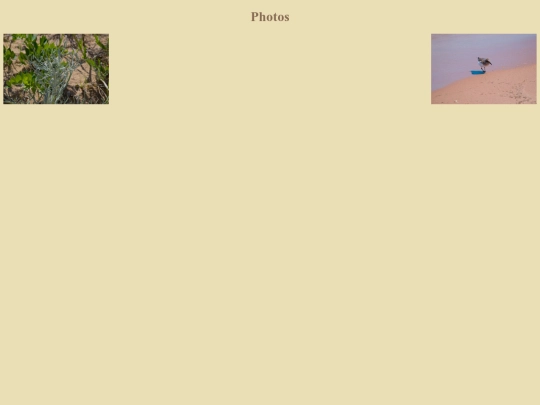 creations/photos screenshot