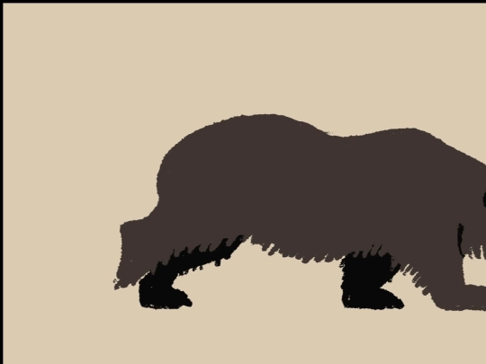 bear screenshot