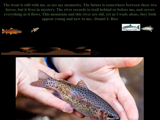 fish screenshot