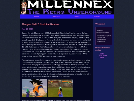 reviews/DBZBudokaiRev screenshot