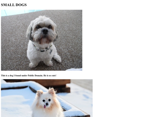 small-dogs screenshot