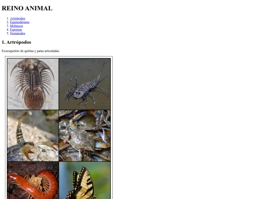 clase05062025/VINCULOS/VINCULOS2 screenshot
