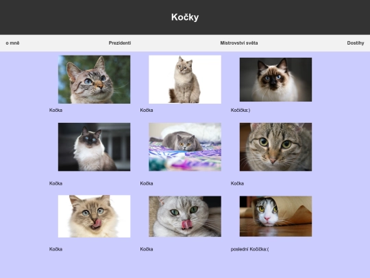obrazky/kocky screenshot