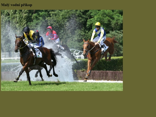 obrazky/malavoda screenshot