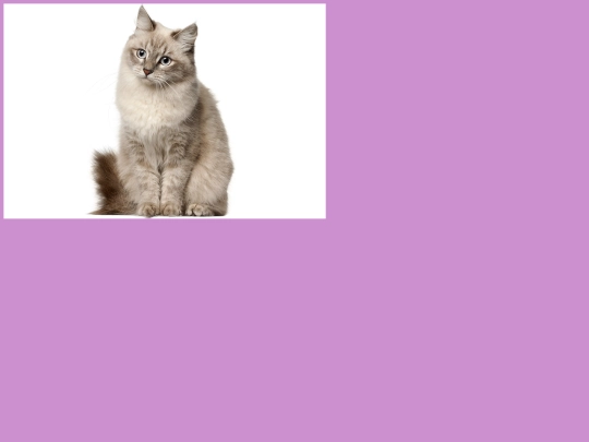 obrazky/nic2 screenshot