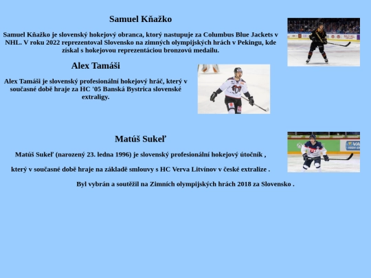 obrazky/sk screenshot