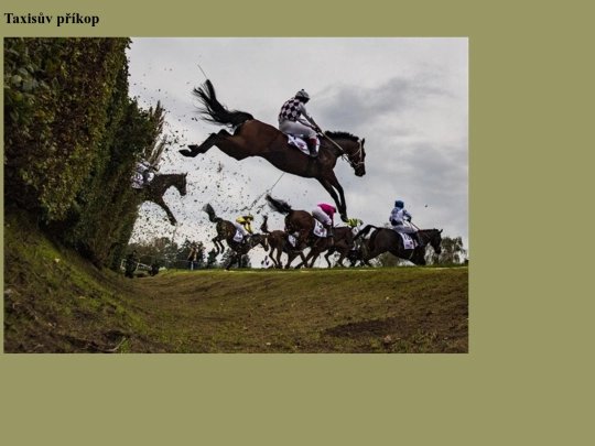 obrazky/taxis screenshot