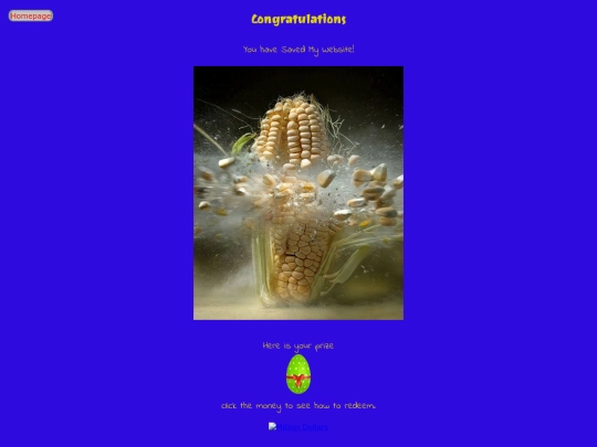 html/taco screenshot