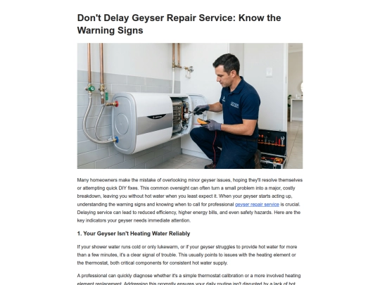don-t-delay-geyser-repair-service-know-the-warning-202608311259 screenshot