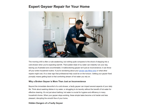 expert-geyser-repair-for-your-home-202609031017 screenshot