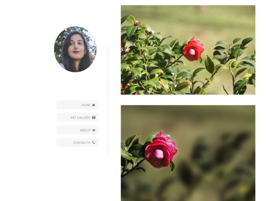 artgallery screenshot