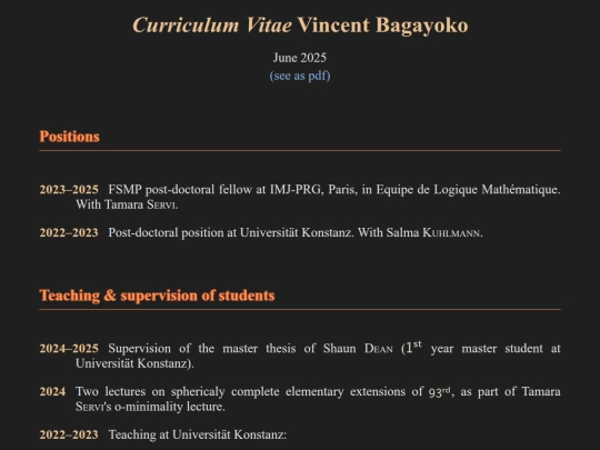 CV/Curriculum Vitae screenshot
