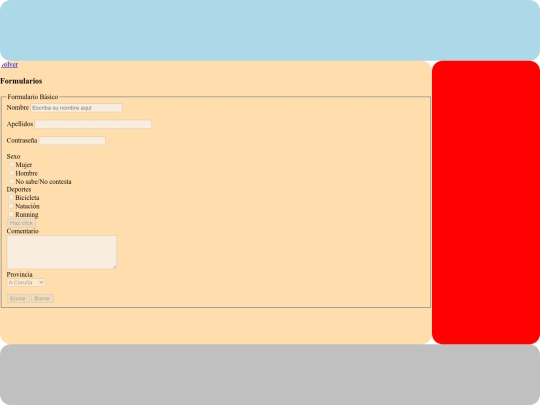 pag/formularios screenshot
