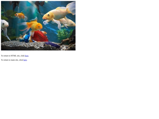 html_class/flexiblePuzzle screenshot