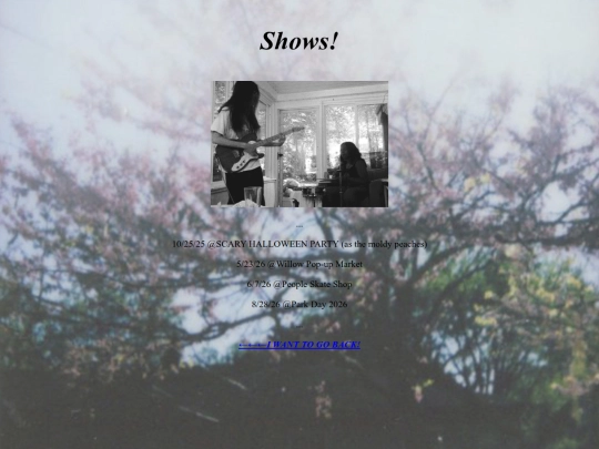 shows screenshot