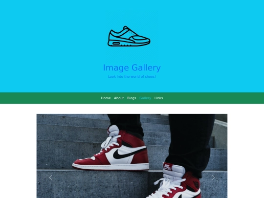 BS5_gallery screenshot