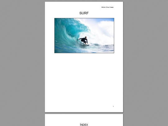 Pract12/SURF screenshot