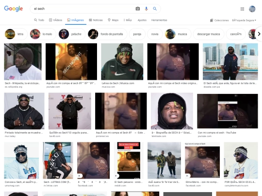 google screenshot