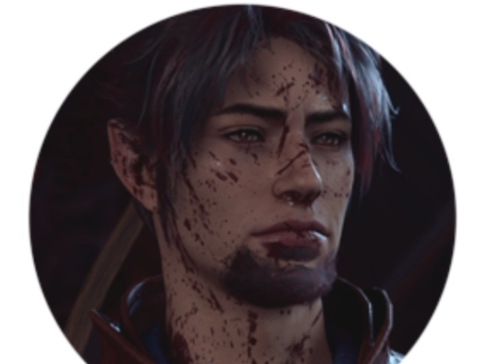 gamelogs/bg3/ryker/profile screenshot