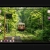 Laptop avatar