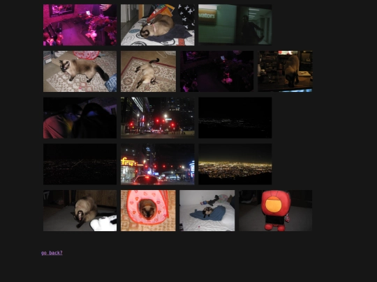 photos/photos2024 screenshot