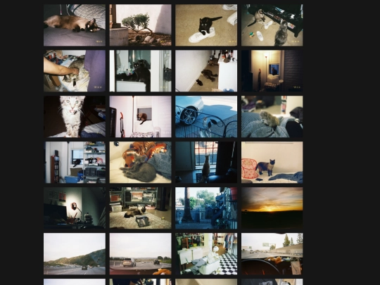 photos/photos2025 screenshot