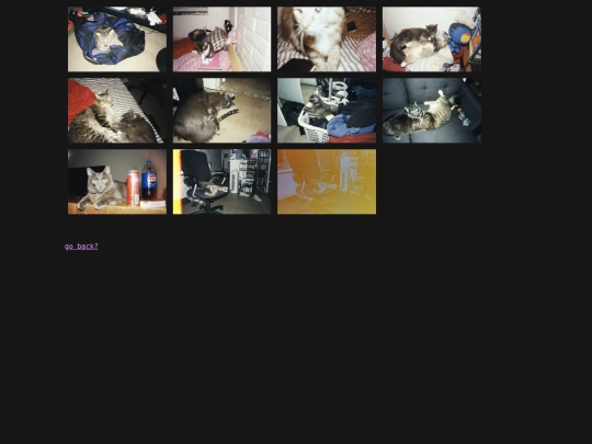photos/photos2026 screenshot