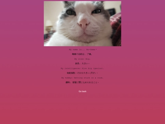 busama screenshot