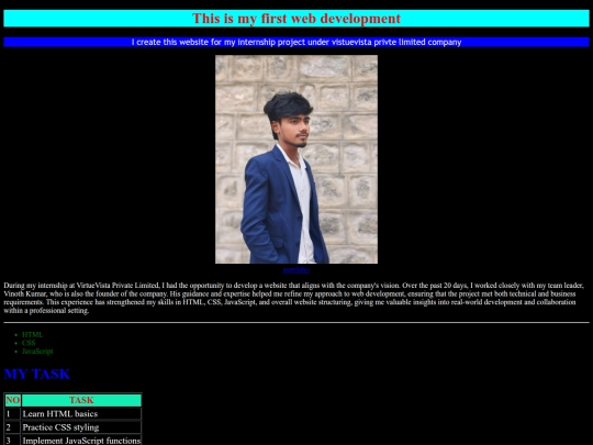 virtuevista/first demo screenshot