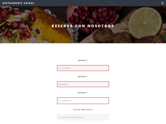 plantilla/elements screenshot
