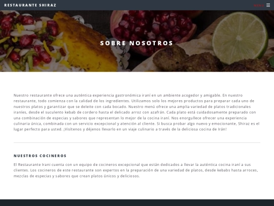 plantilla/generic screenshot