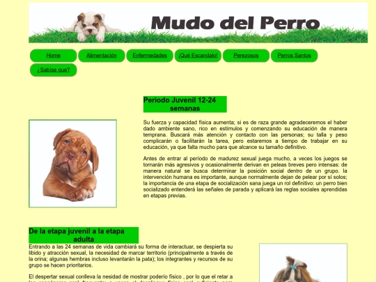 html/Index2-1 screenshot