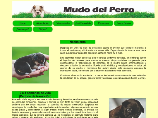 html/Index2 screenshot
