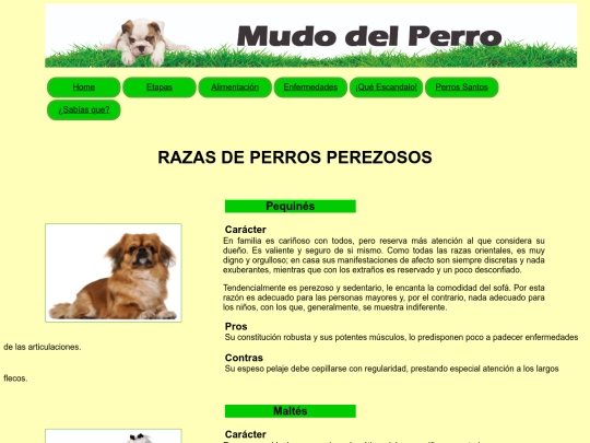 html/index6 screenshot