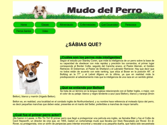html/index8 screenshot