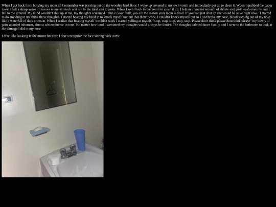 mirrorimage screenshot