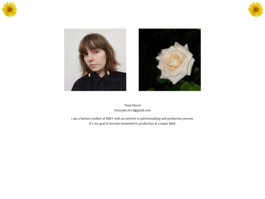 portfolio/about screenshot
