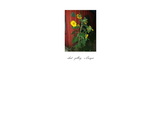 portfolio/portfolio screenshot