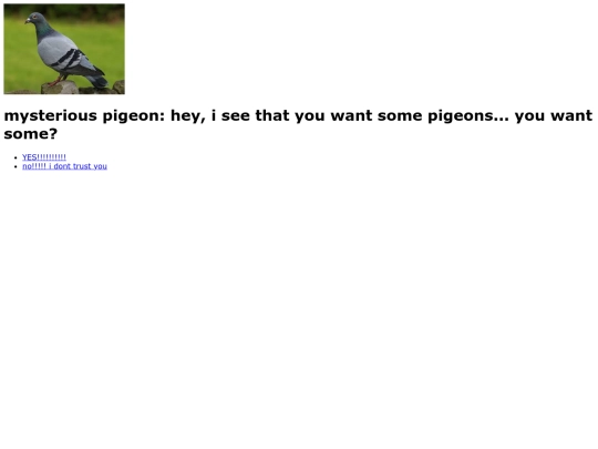 MOREPIGEONS screenshot