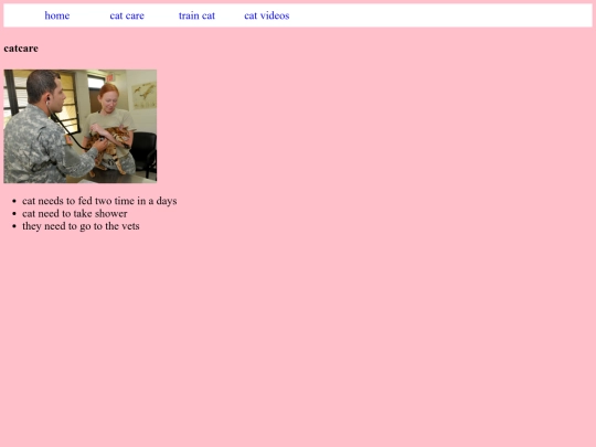 catcare screenshot