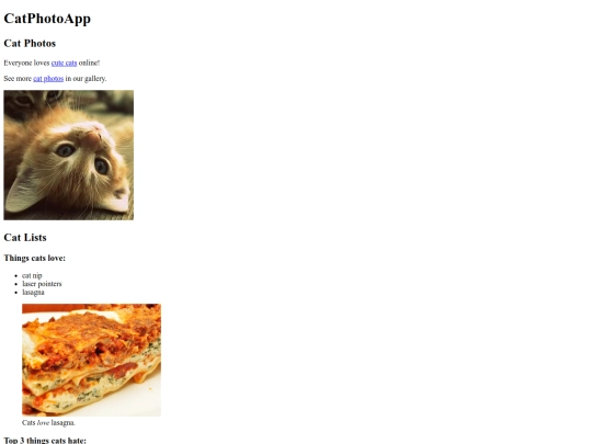 catphotoapp screenshot